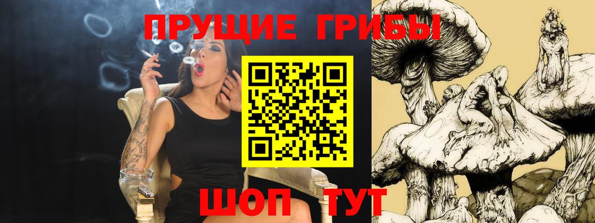 Псилоцибиновые грибы Magic Shrooms  Вход с VPN  Богданович 